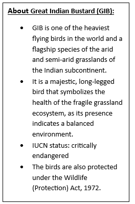 Supreme Court tightens Great Indian Bustard safeguards, redraws Green Energy Corridor (GEC) map in Rajasthan and Gujarat