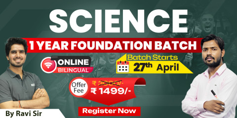 Science 1 Year Foundation Batch