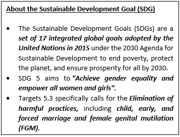 Africa Off Track to End Child Marriage by 2030