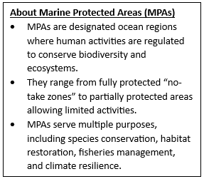 Global Ocean Protection Reaches 10% Milestone