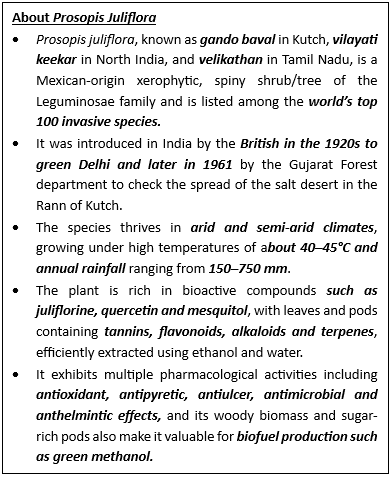 India's First Green Methanol Plant