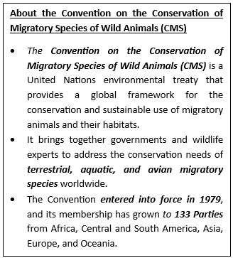 State of the World’s Migratory Species