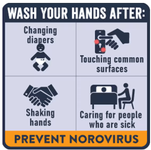 Norovirus