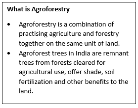 Agroforestry Rules