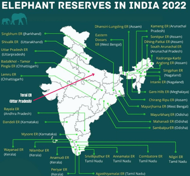 Maharashtra’s First Elephant Reserve