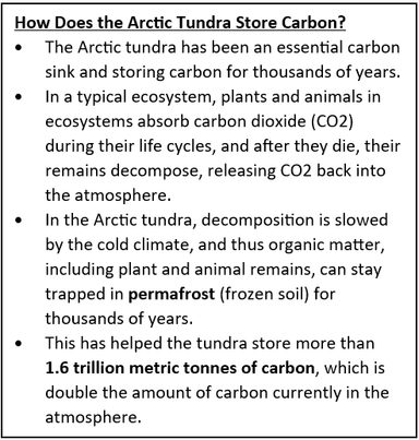 Arctic Tundra Emitting More Carbon Than It Absorbs